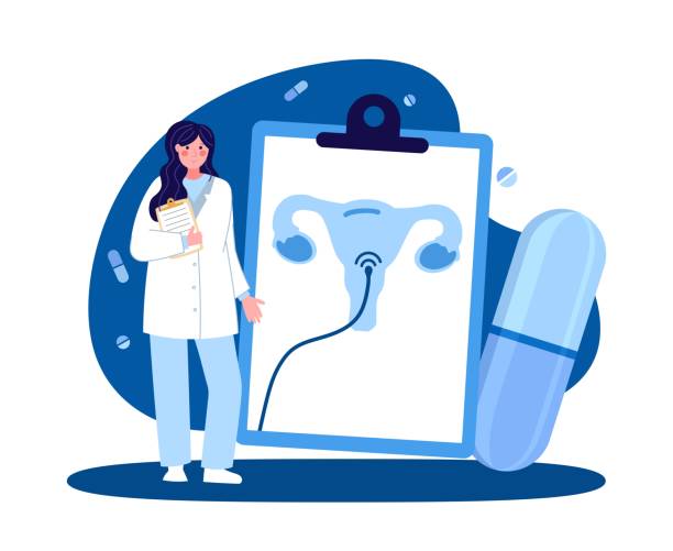 A female medical worker. Gynecologist with a tablet. The concept of medicine and health. Vector illustration in a flat style on a blue
