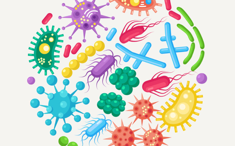 vecteezy_set-of-bacteria-microbes-virus-germs-disease-causing_6582217